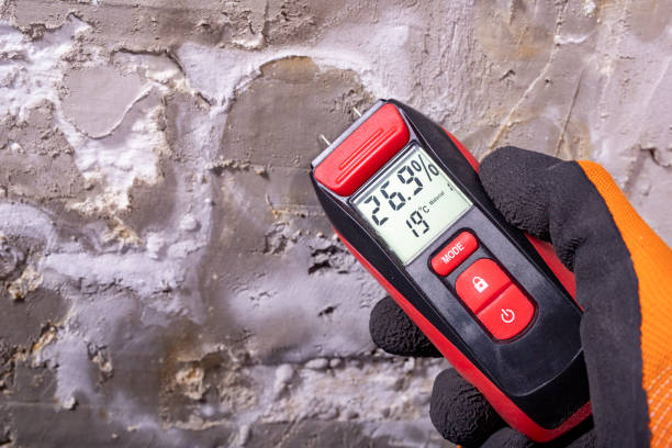 Best Commercial Mold Remediation in Guyton, GA