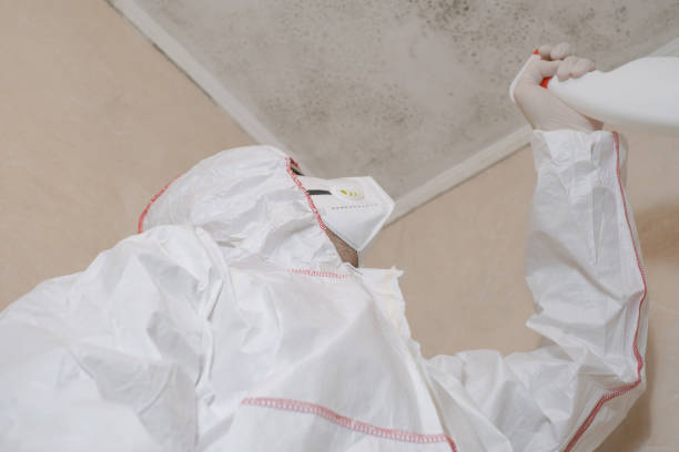 Best White Mold Remediation in Guyton, GA